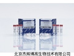 Qiagen QIAamp DNA Blood Mini Kit（51185）—— 北京杰輝博高生物技術專業供應與服務